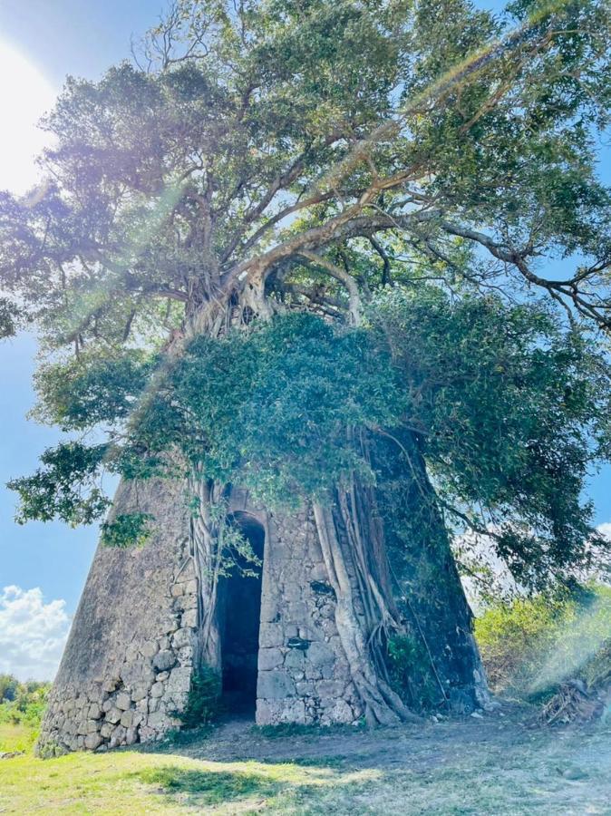 Jolie Petite Villa Sur Une Presqu'Ile Le Gosier  Dış mekan fotoğraf