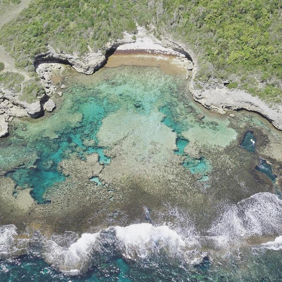 Jolie Petite Villa Sur Une Presqu'Ile Le Gosier  Dış mekan fotoğraf